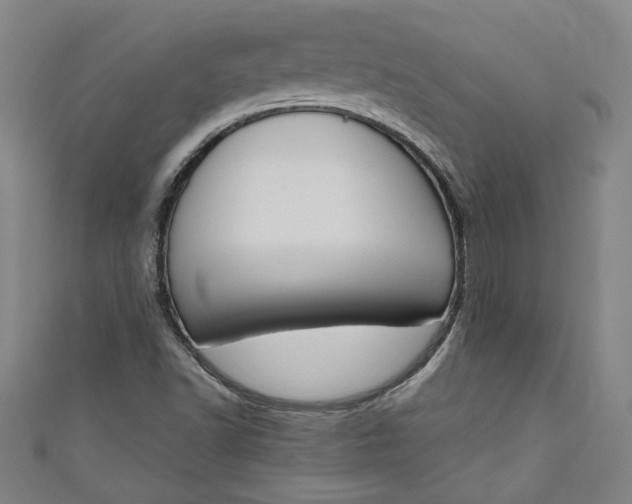 X0000111171502200907221017