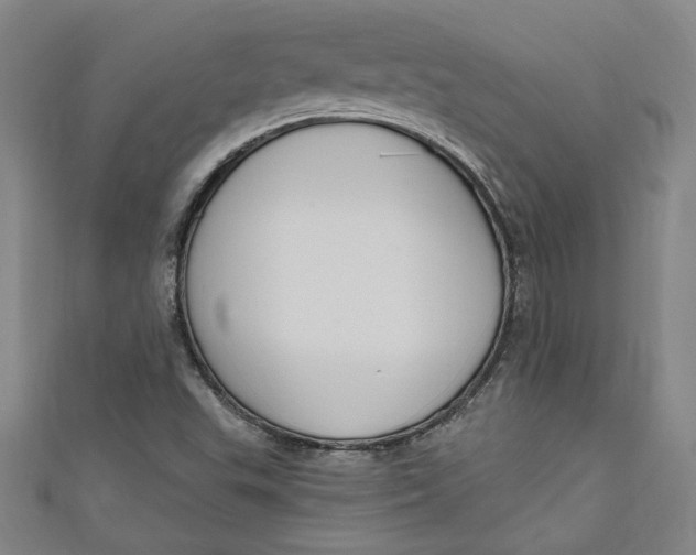 X0000111171503200907221017