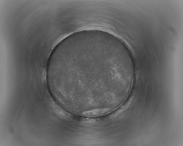 X0000111171505200907221017