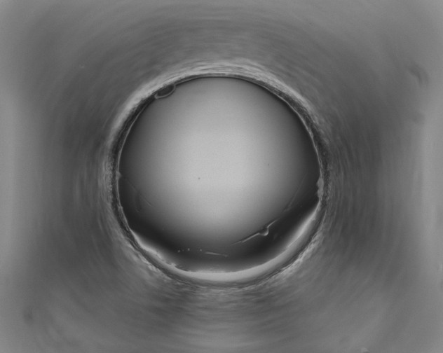 X0000111171506200907221017