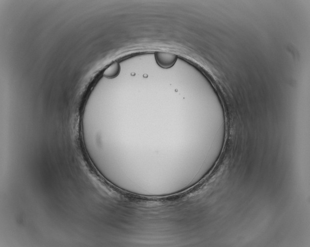 X0000111171507200907221017