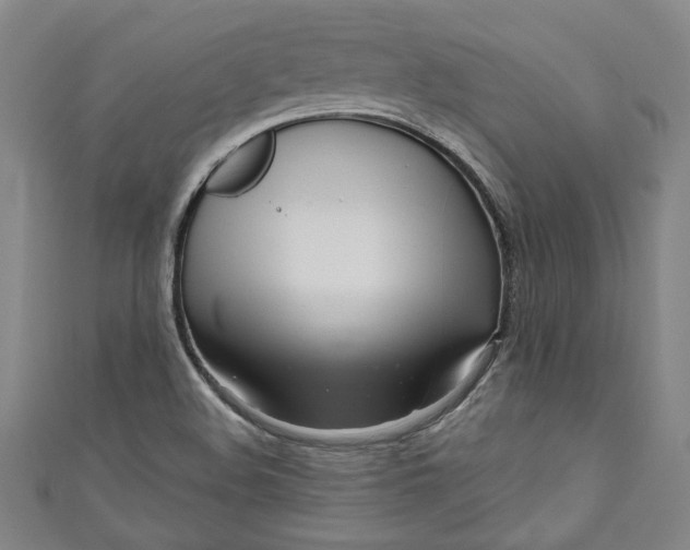 X0000111171508200907221017