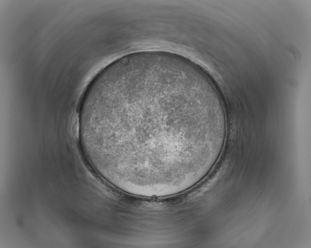 X0000111171509200907221017