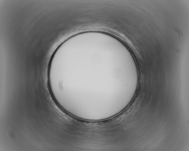 X0000111171512200907221017