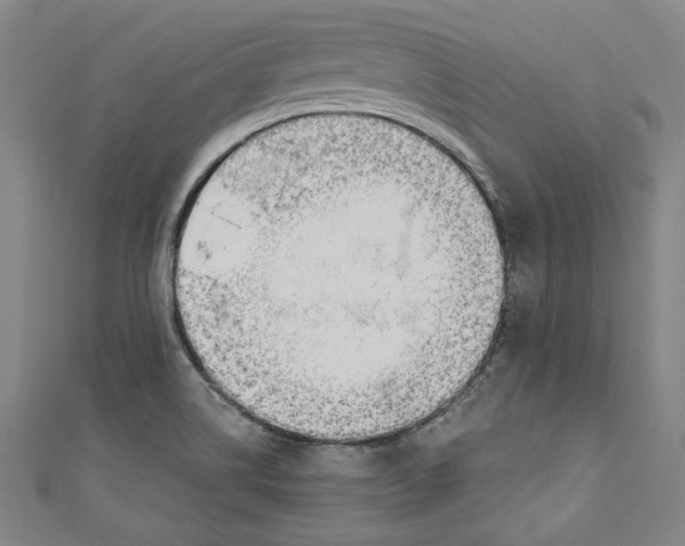 X0000111171514200907221017