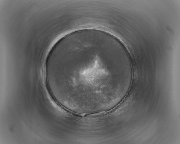 X0000111171515200907221017