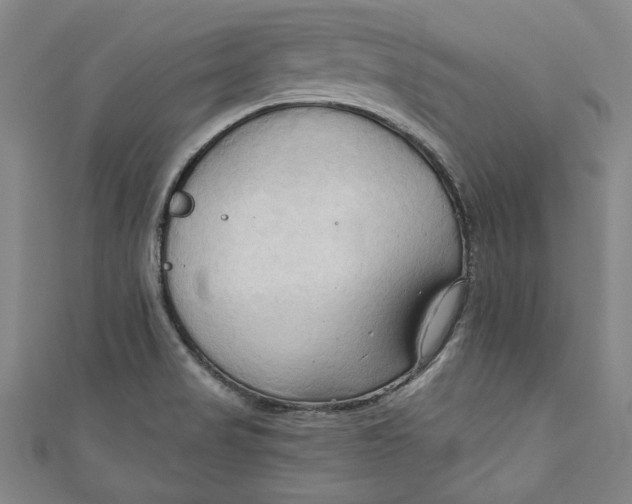 X0000111171517200907221017