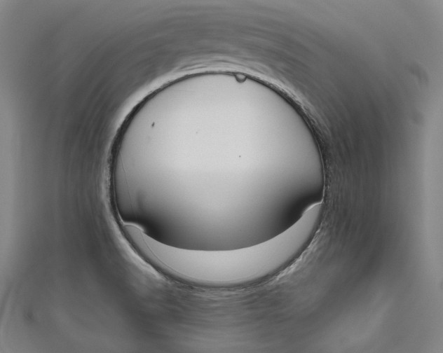 X0000111171518200907221017