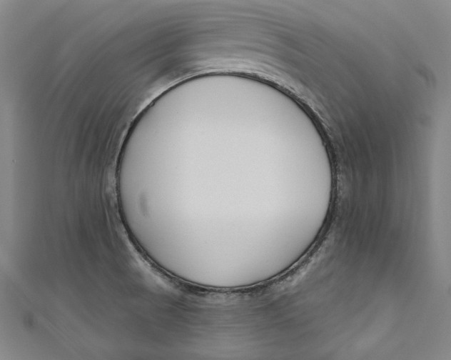 X0000111171521200907221017