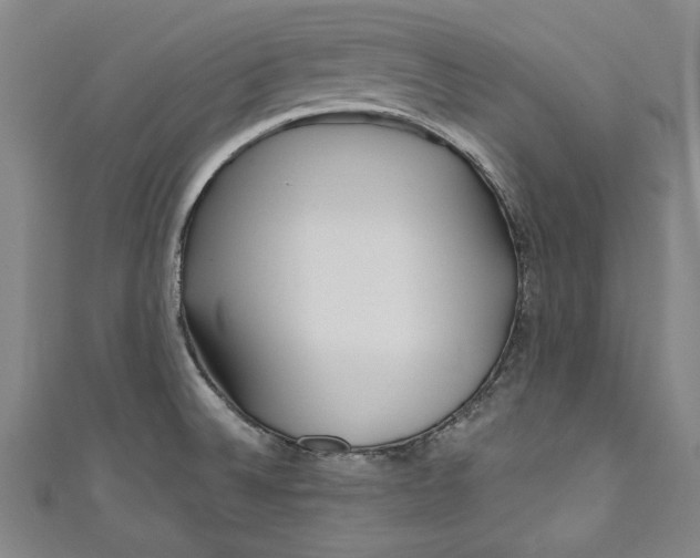 X0000111171524200907221017