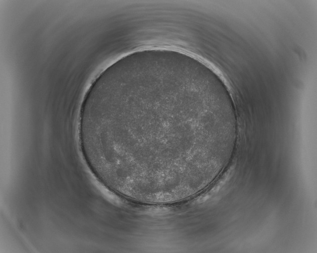 X0000111171525200907221017