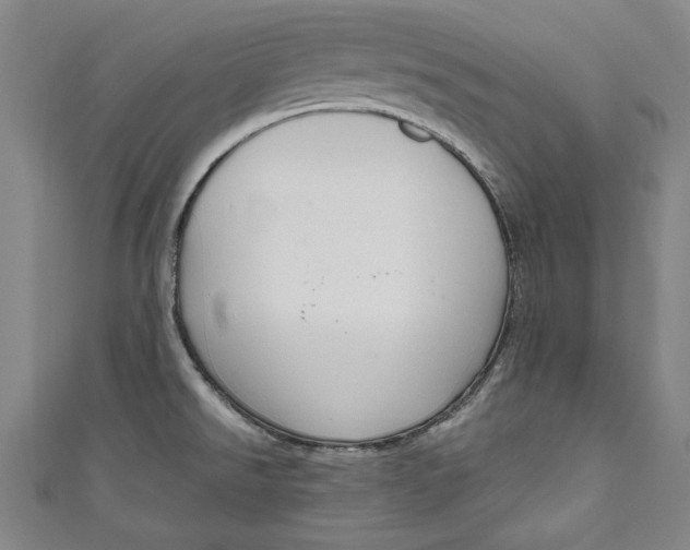 X0000111171526200907221017