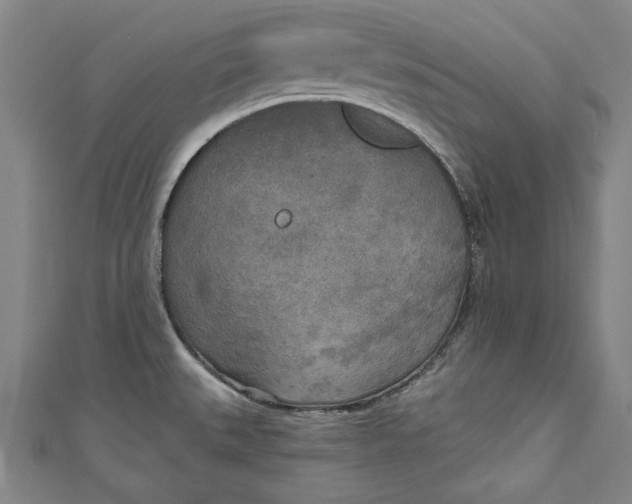 X0000111171527200907221017