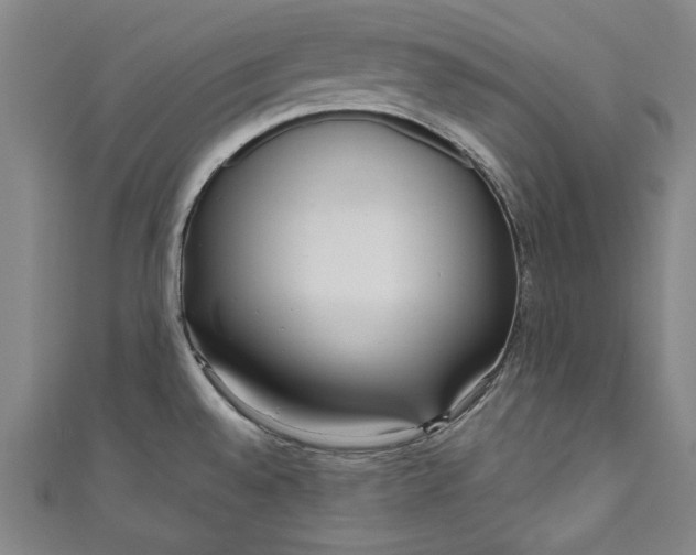 X0000111171528200907221017