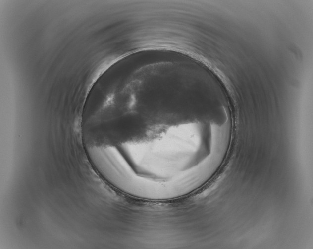 X0000111171529200907221017