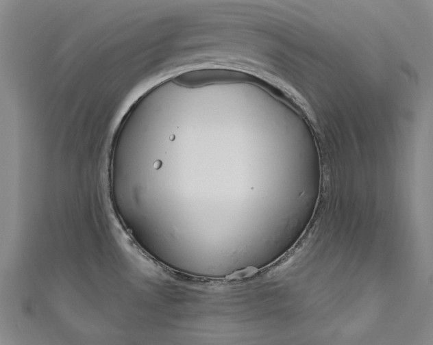 X0000111171530200907221017