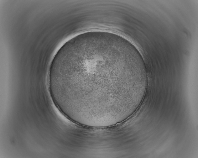 X0000111171531200907221017