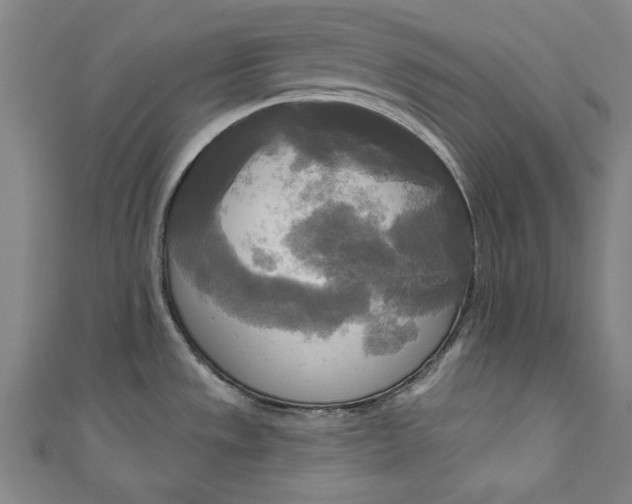 X0000111171533200907221017