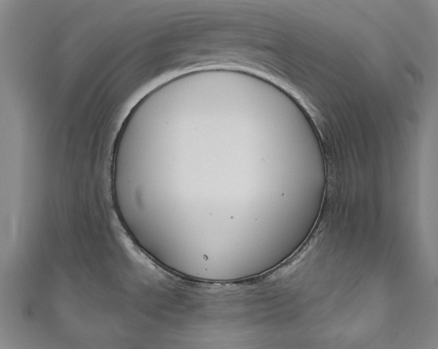 X0000111171534200907221017