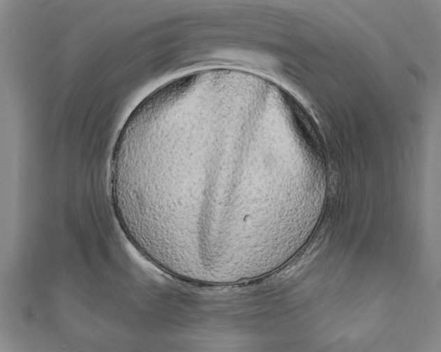 X0000111171535200907221017