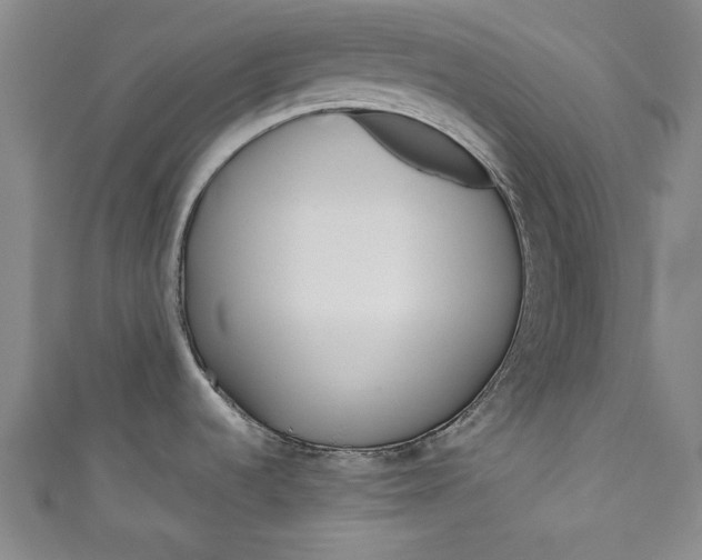 X0000111171536200907221017