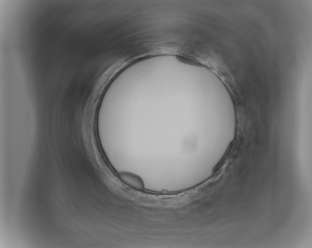 X0000111170001200907291132