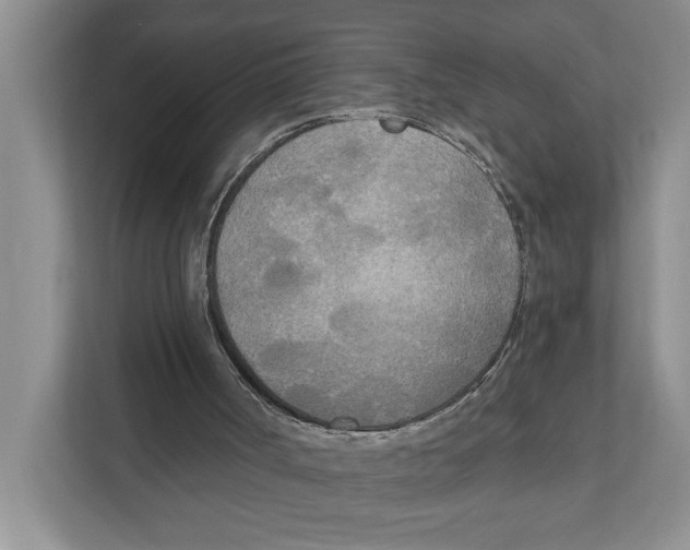 X0000111170002200907291132