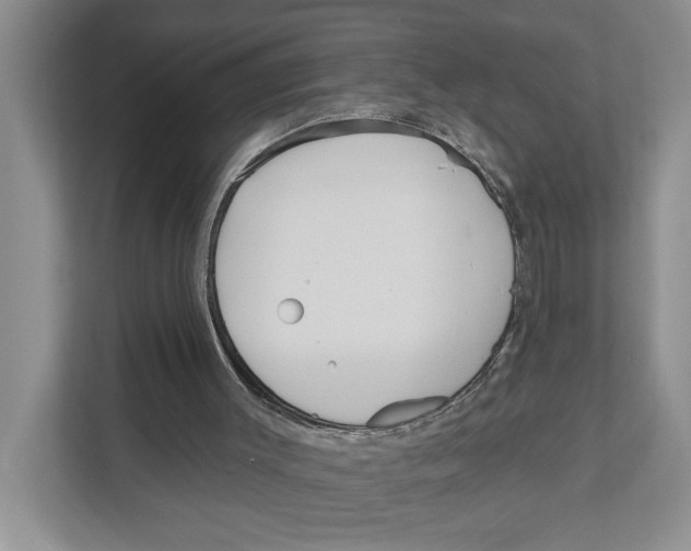 X0000111170003200907291132