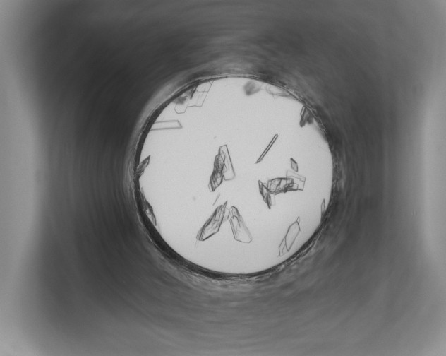 X0000111170004200907291132