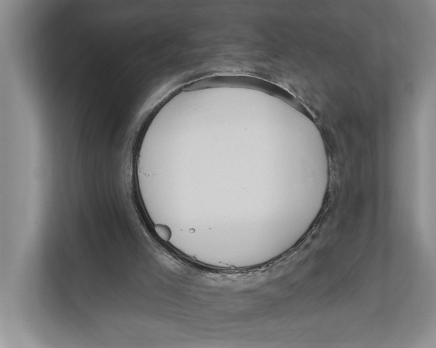 X0000111170005200907291132