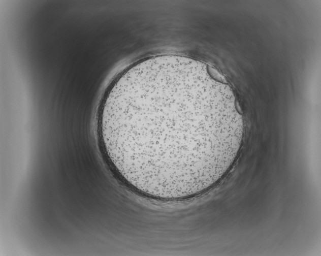 X0000111170006200907291132