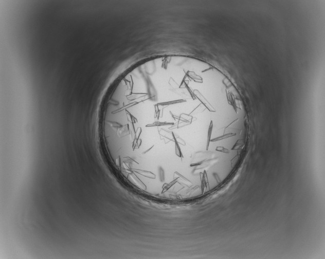 X0000111170008200907291132