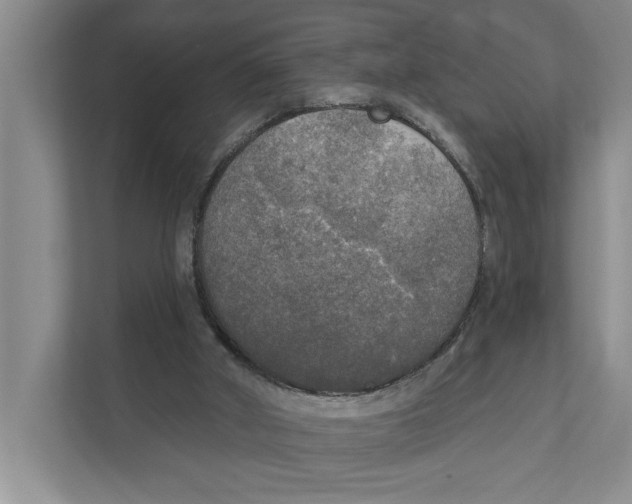 X0000111170010200907291132