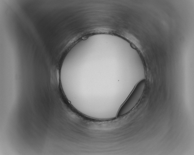 X0000111170013200907291132