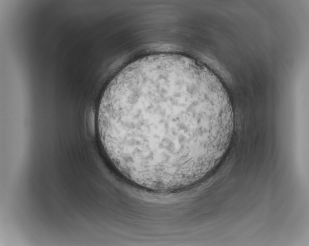 X0000111170014200907291132