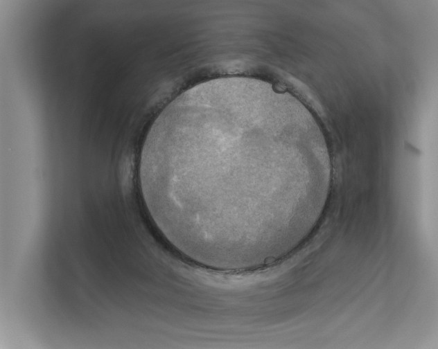 X0000111170018200907291132