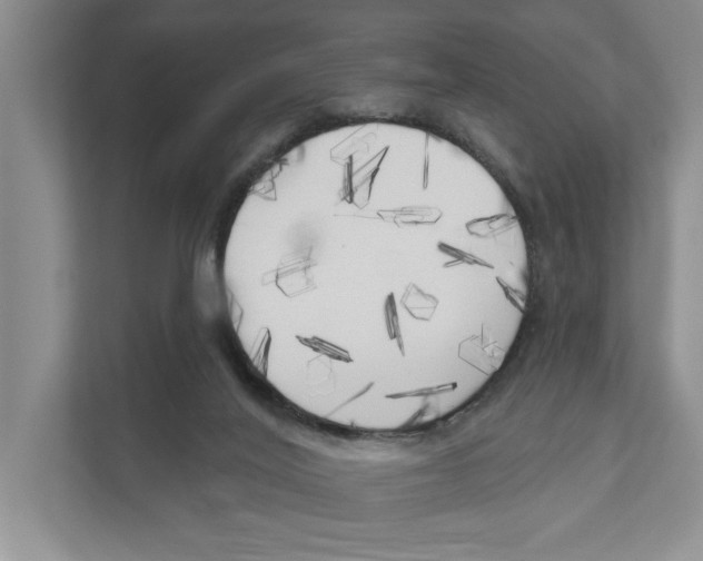 X0000111170020200907291132