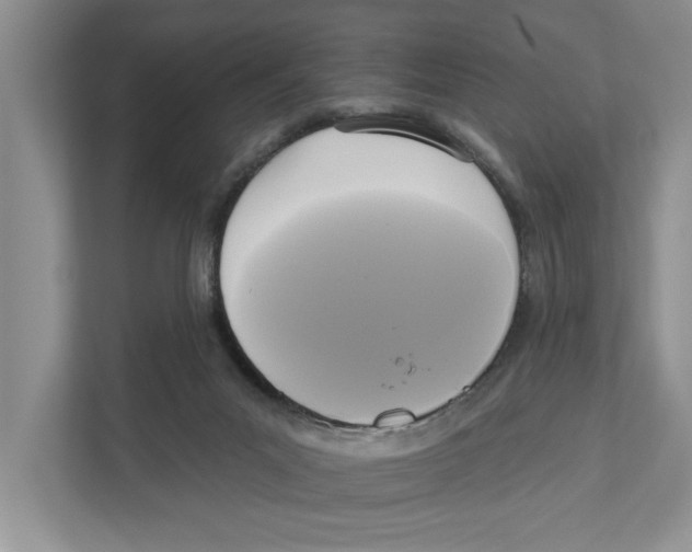 X0000111170023200907291132