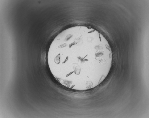 X0000111170024200907291132