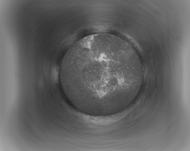 X0000111170026200907291132