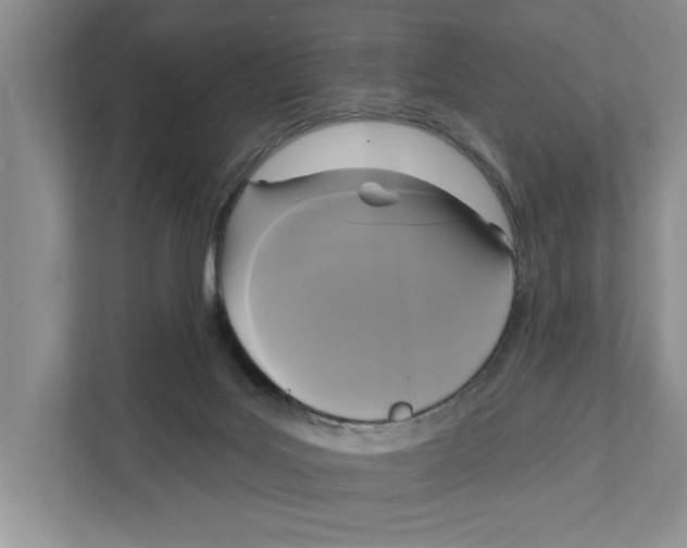 X0000111170027200907291132