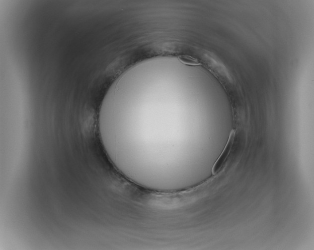 X0000111170029200907291132