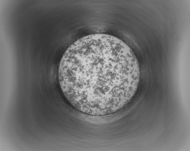 X0000111170030200907291132