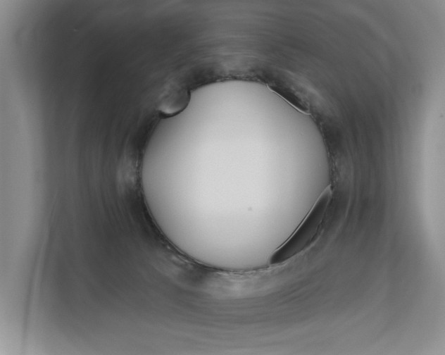 X0000111170033200907291132