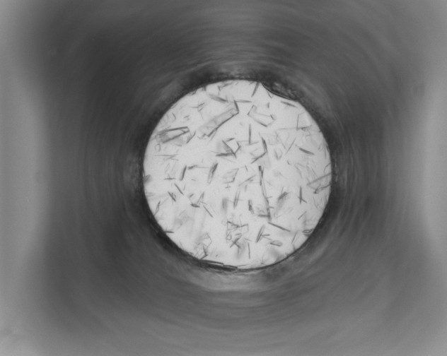 X0000111170036200907291132