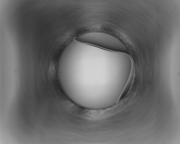 X0000111170037200907291132