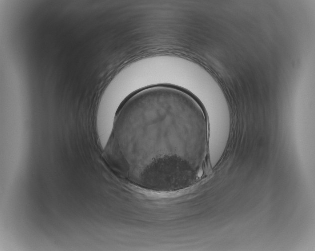 X0000111170039200907291132