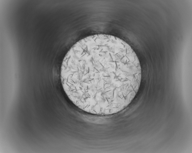X0000111170040200907291132