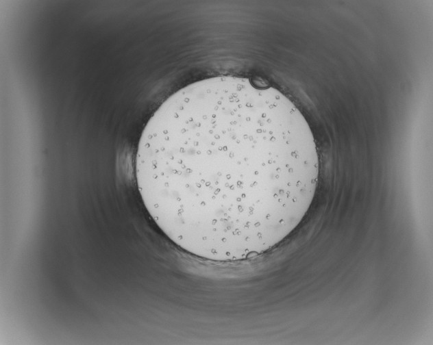 X0000111170042200907291132
