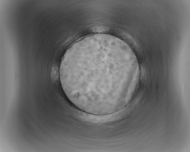 X0000111170043200907291132